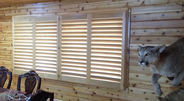 Ovation shutters in a Lake House